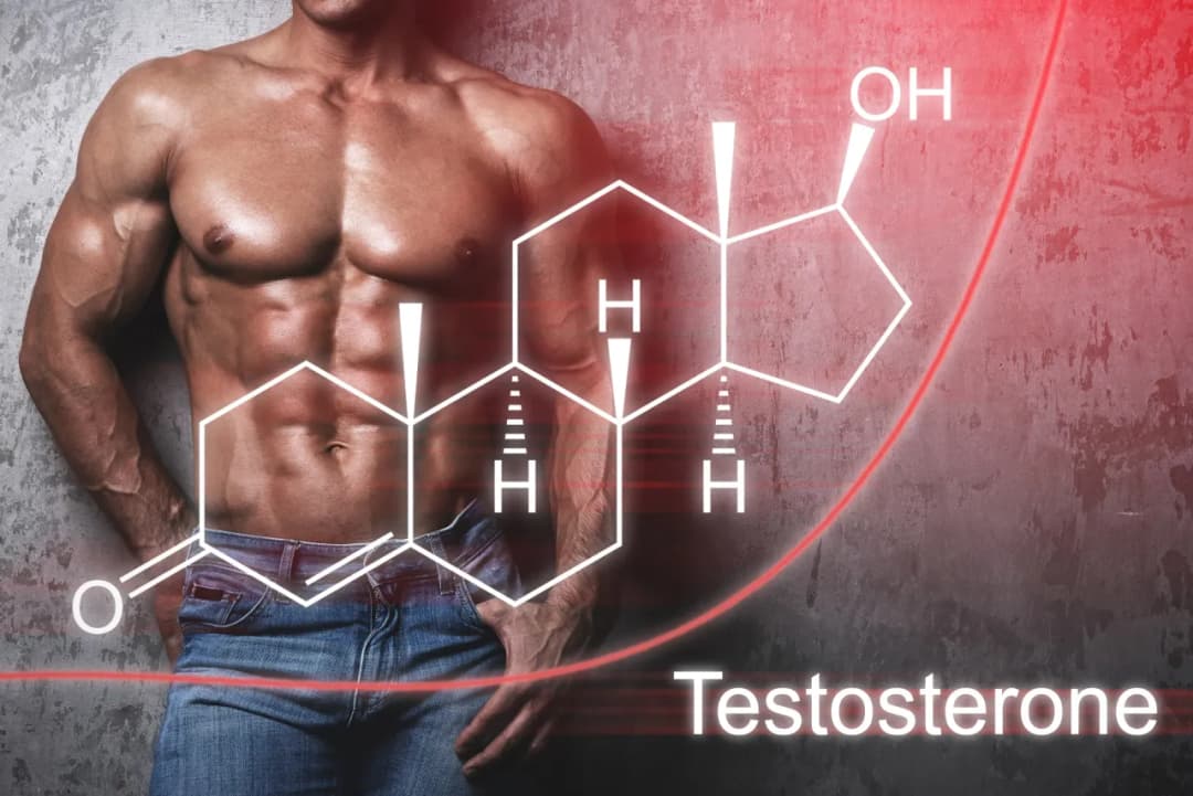 Testosteron na redukcję: Skuteczny sposób na spalanie tłuszczu bez utraty mięśni