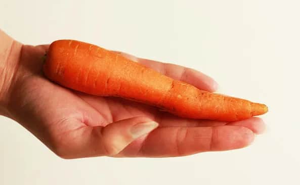 Ile kcal ma marchewka? Poznaj wartość energetyczną i korzyści