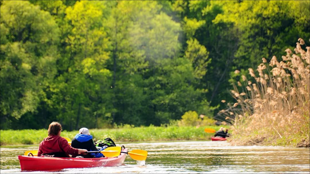 Spływ kajakowy cena: Jak uniknąć wysokich kosztów i cieszyć się przygodą