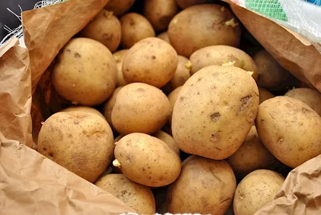 Ile kcal ma ziemniak? Poznaj wartość kaloryczną różnych odmian
