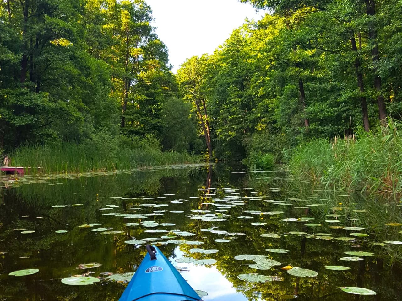 Spływ kajakowy Ostróda - najlepsze trasy i porady na niezapomnianą przygodę