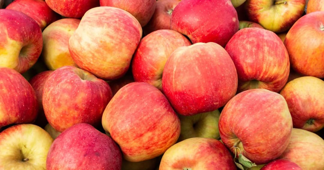 Ile kalorii ma jabłko ligol? Zaskakujące fakty o jego kaloryczności